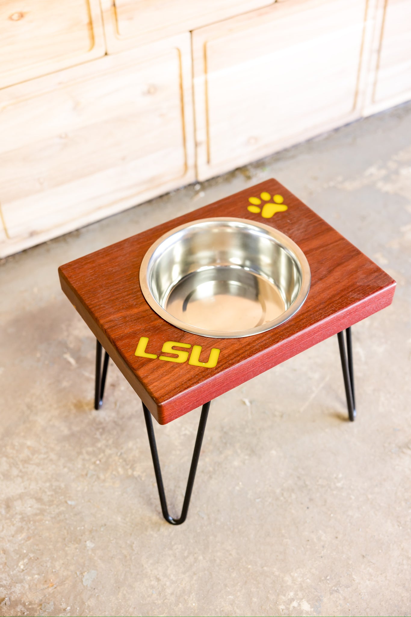 Collegiate Dog Feeding Station