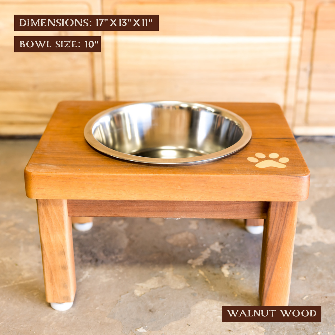 Blue Lacy Dog Feeding Station