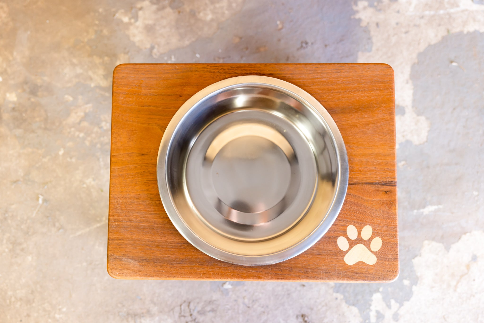 Blue Lacy Dog Feeding Station