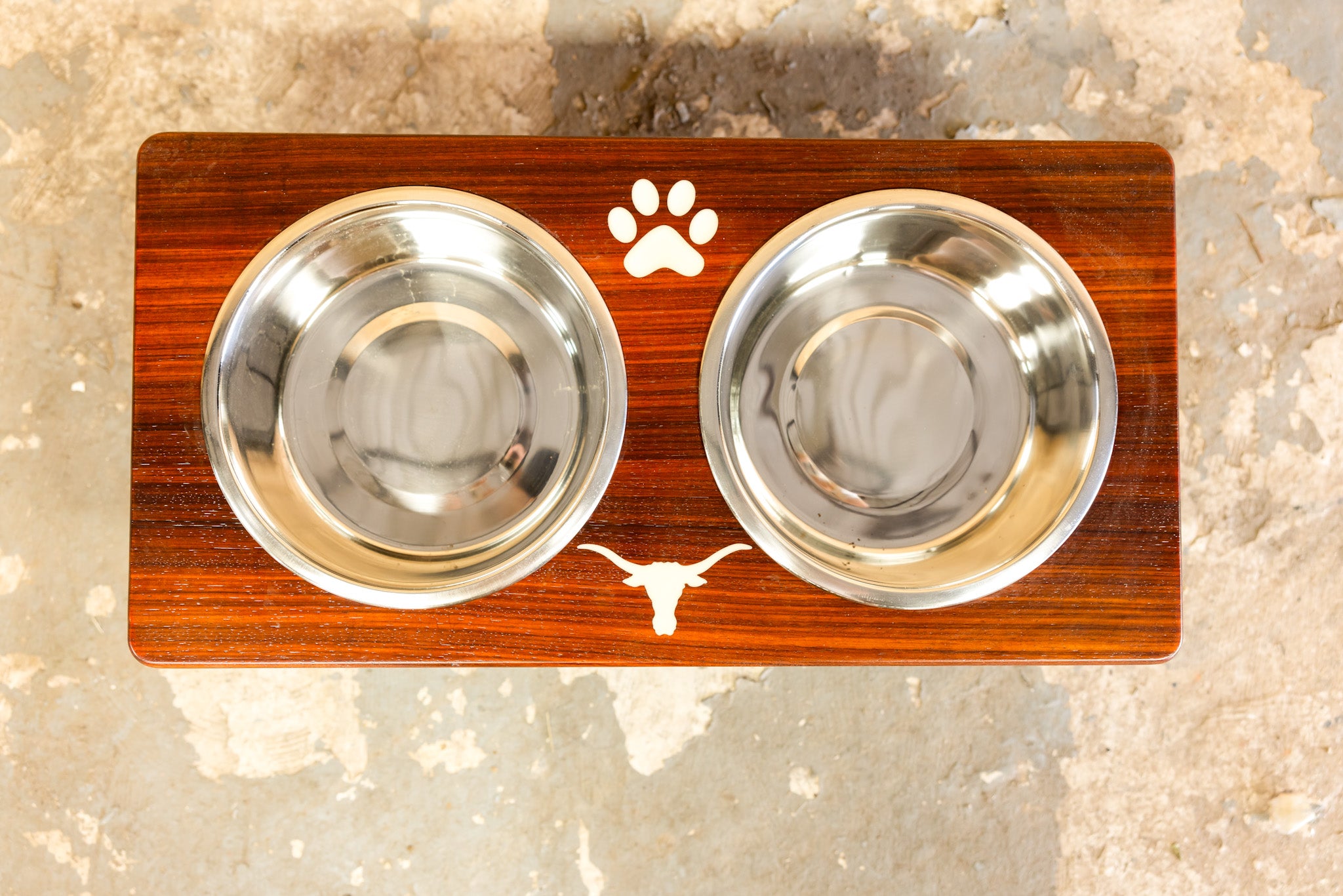 Collegiate Dog Feeding Station