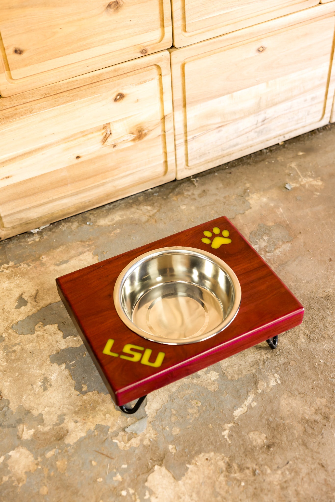 Collegiate Dog Feeding Station