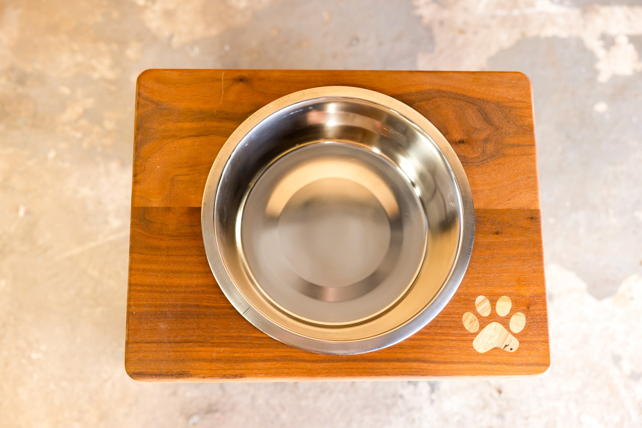 Blue Lacy Dog Feeding Station